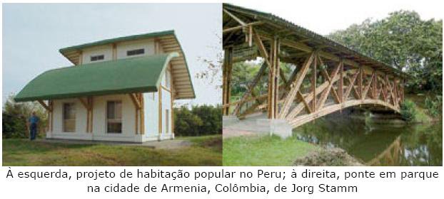 O Bambu é sustentável!!