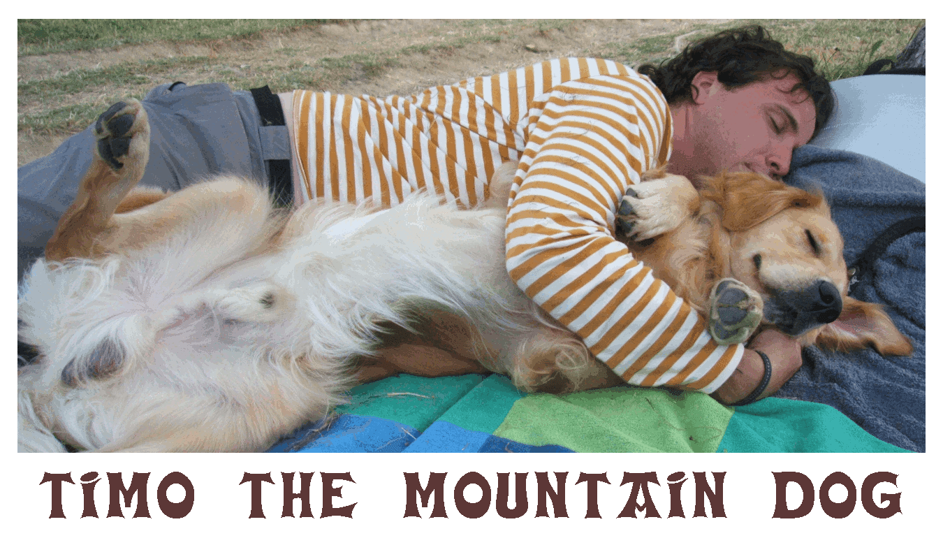 Timó, the mountain dog