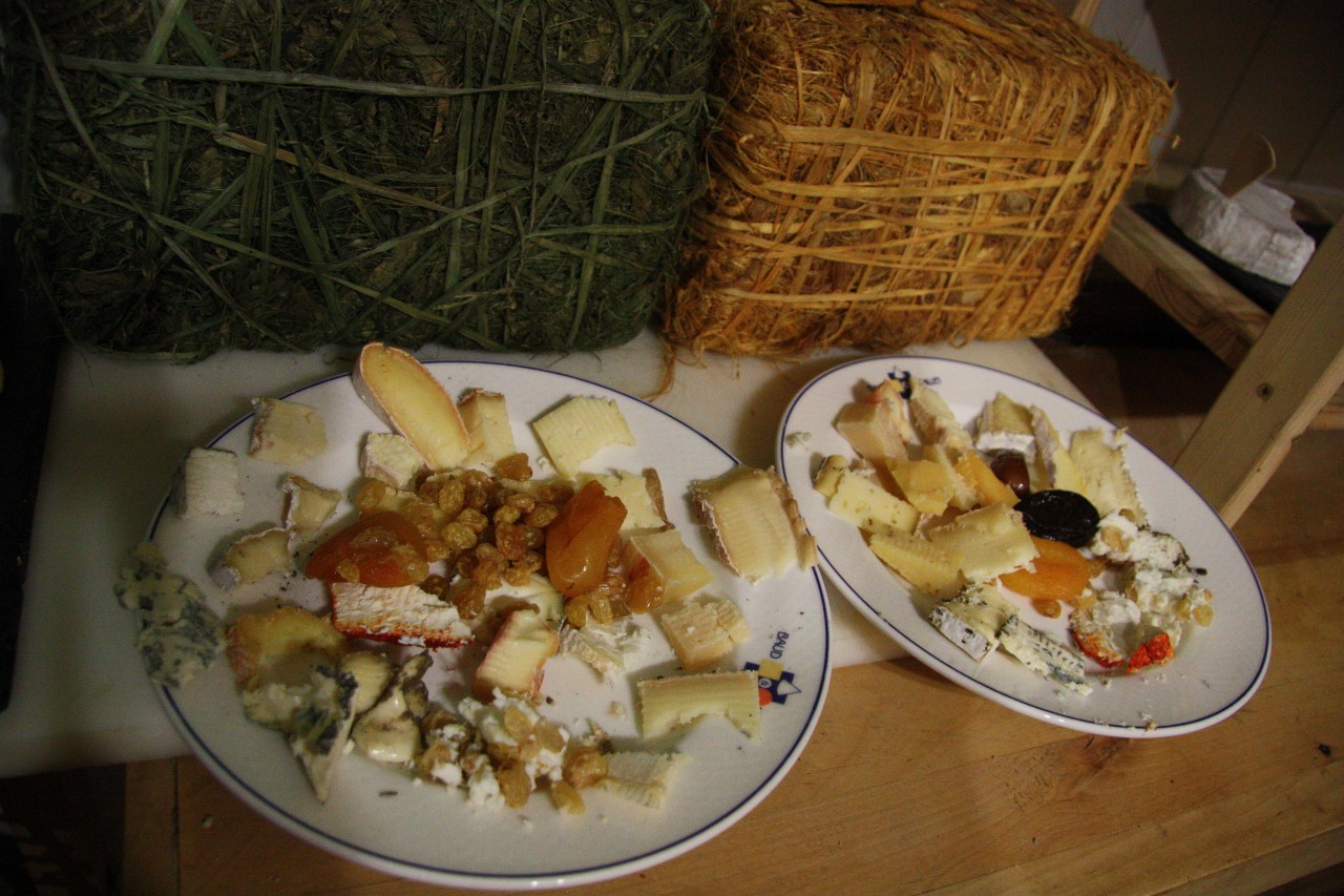 [France+093+(1280x853).jpg]