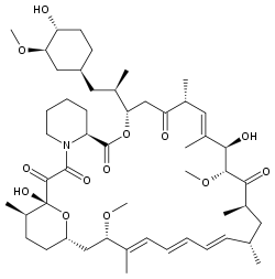molecular structure of Rapamycin (Sirolimus) molecular structure of Rapamycin (Sirolimus)
