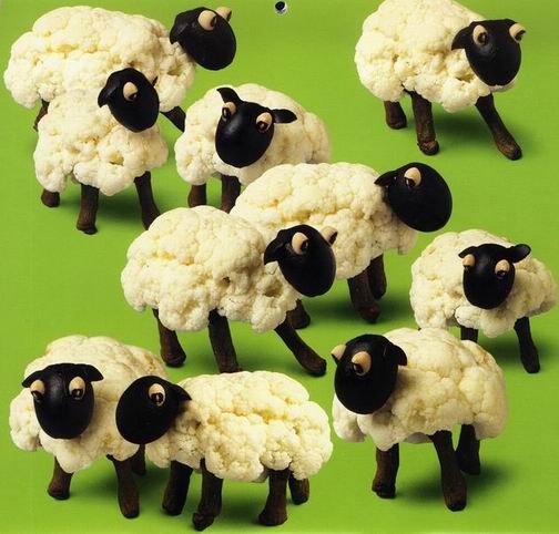 [sheeps.jpg]