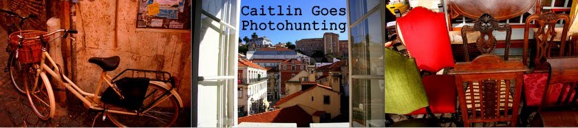 Caitlin Goes Photohunting