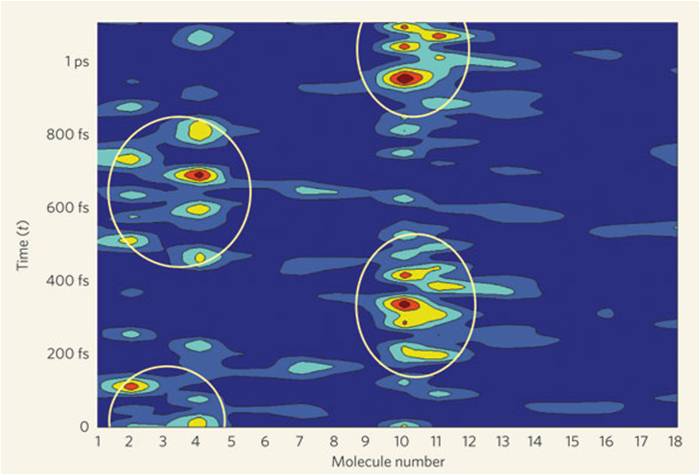 [quantum-coherence.jpg]