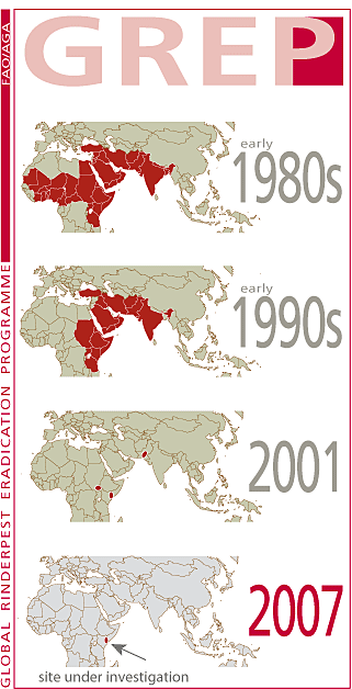 [rinderpest_2007.gif]