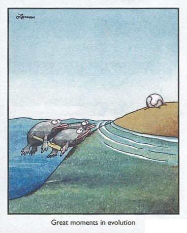 [farsideevolution.jpg]