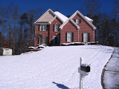 Our Home - Snow 2010