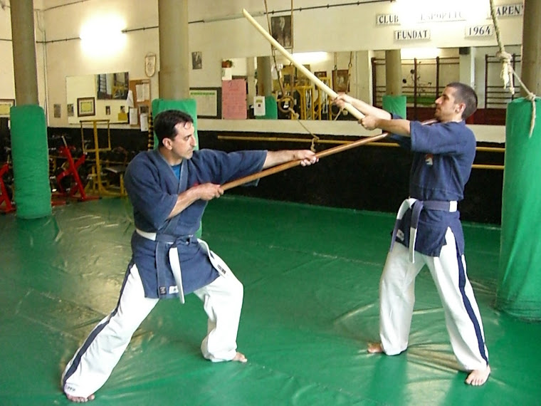 Yoseikan Kenjutsu-Kobudo