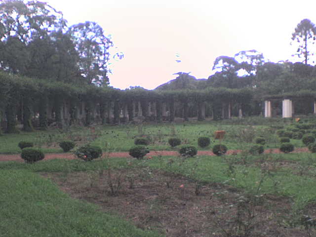 [DSC00119.JPG]