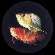 Galeri Arowana