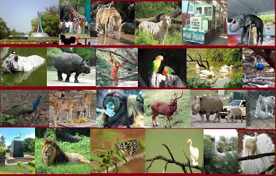 Nehru Zoological Park Hyderabad Nehru Zoological Park Hyderabad