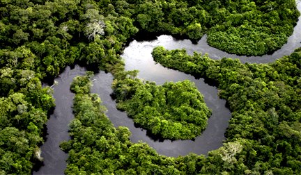 [amazonia.jpg]