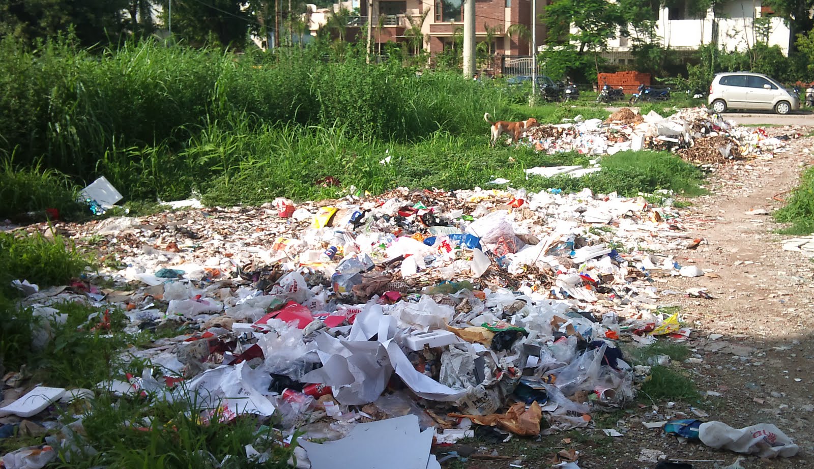 plastic hazards