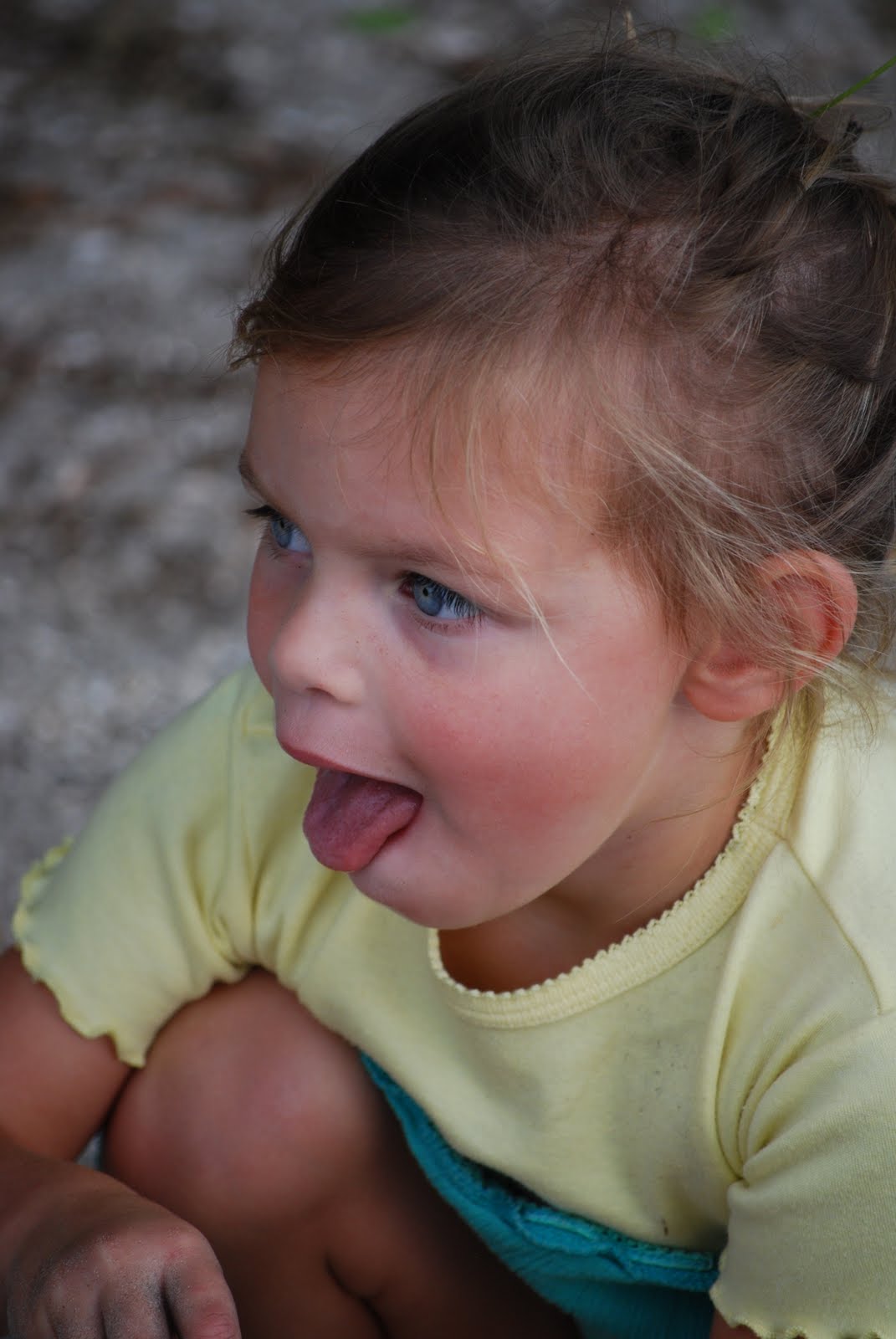 [DSC_0029.JPG]