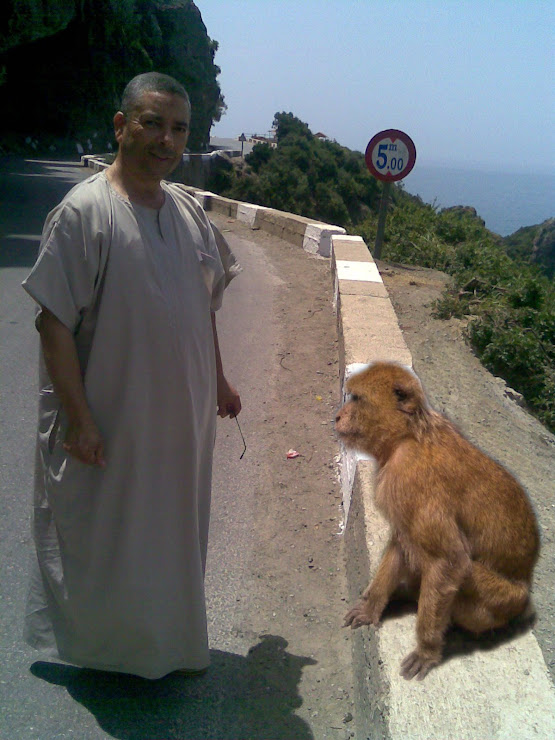 avec un singe de la corniche jijelienne juillet 2008
