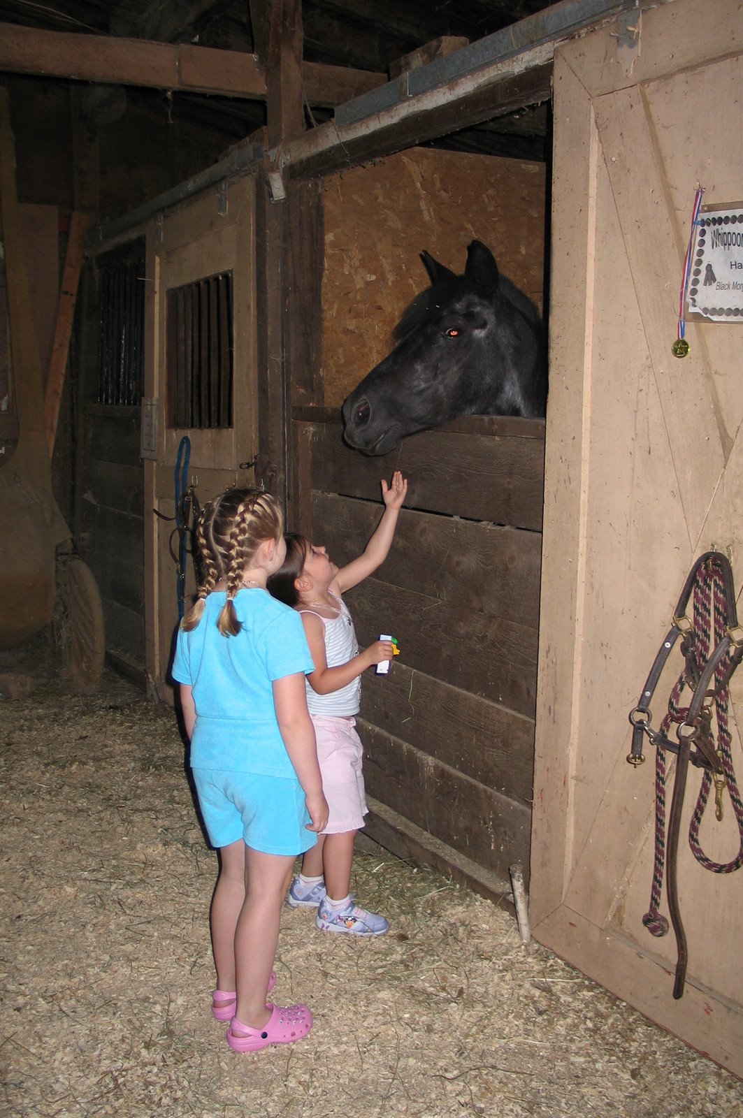 [IMG_0851_edited.JPG]