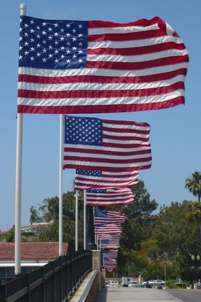 [flags.jpg]