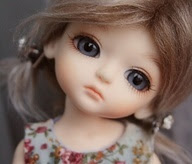 My Photo