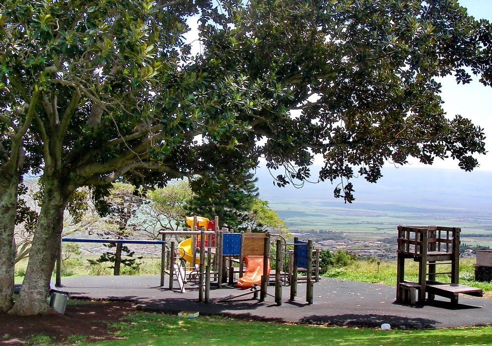 Maui Real Properties lifestyle info, homes and land for sale Maui