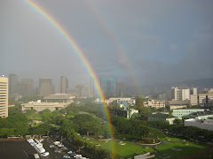 Downtown Honolulu from our apartment