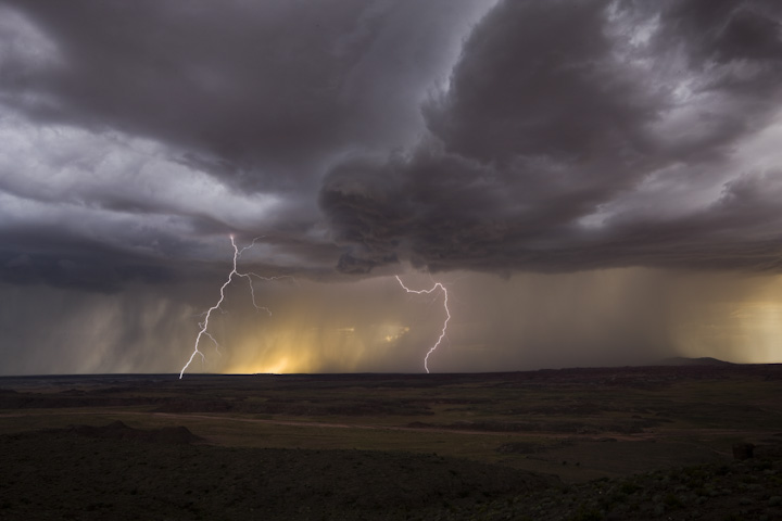Flying Jellyfish Sightings