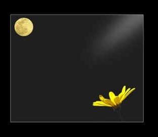 [Peque%C3%B1a+Flor[1].JPG]