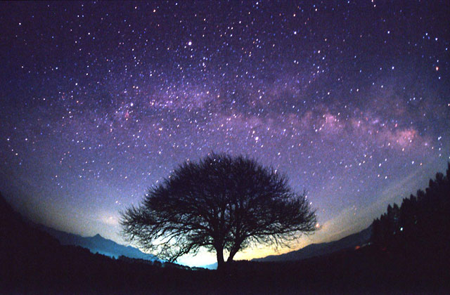 [Starlit_Sky.jpg]