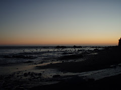 The Lost Coast