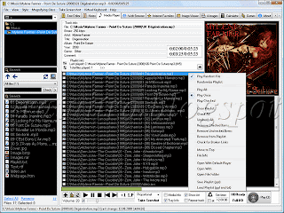 Ubiquitous Player 3.0