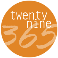 twenty nine 365