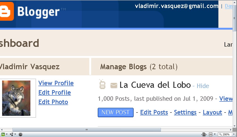 [1001+posts.jpg]