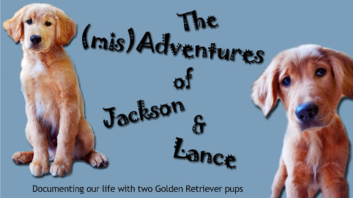 The (mis)Adventures of Jackson and Lance