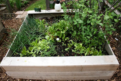 Heirloom Gardener Old Farmer S Almanac Spring Planting Schedule May