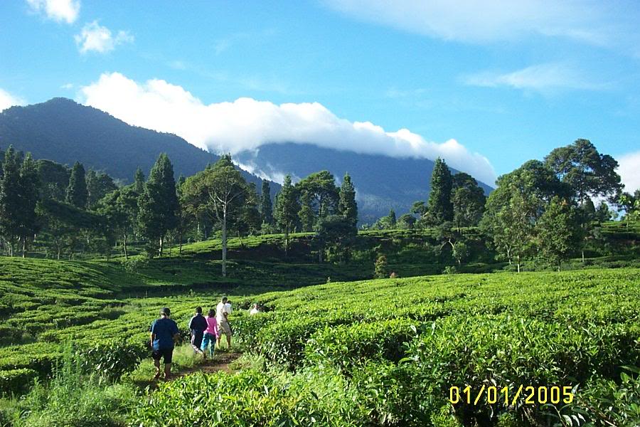 Foto Pemandangan Indonesia