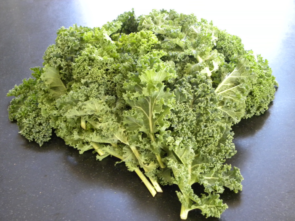 Diane's Texas Garden Kale and White Bean Soup