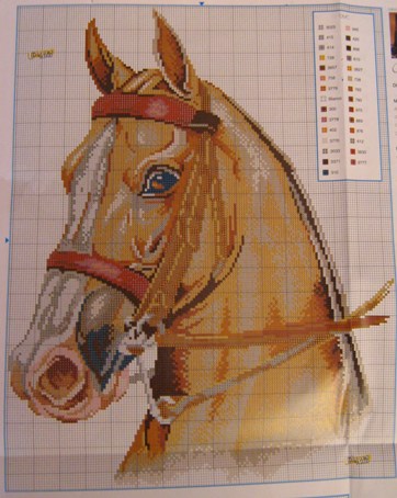 [Cavalo.JPG]
