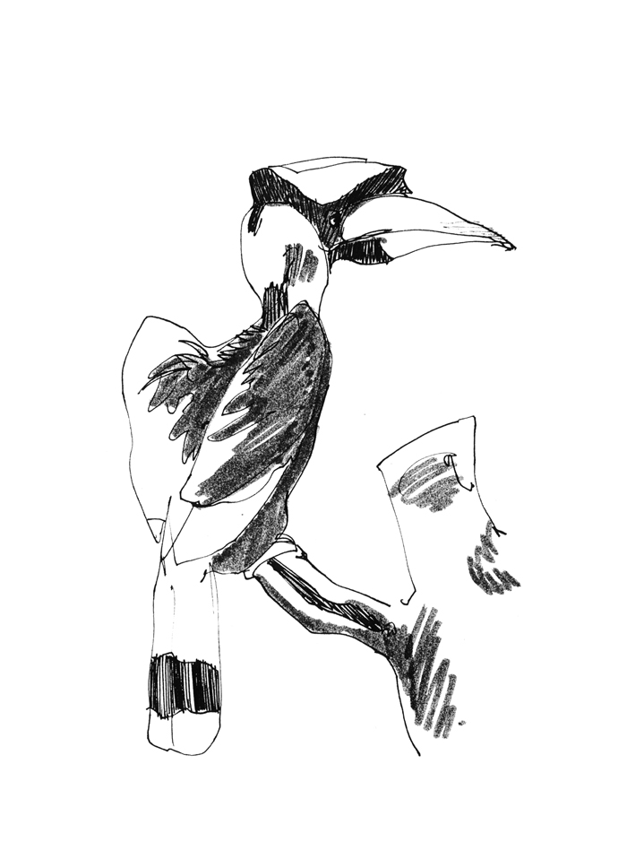 [Bird.jpg]