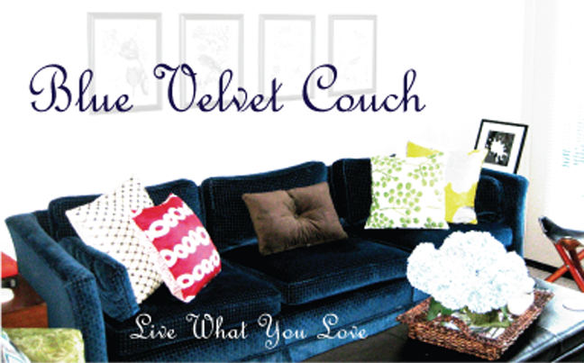 Blue Velvet Couch