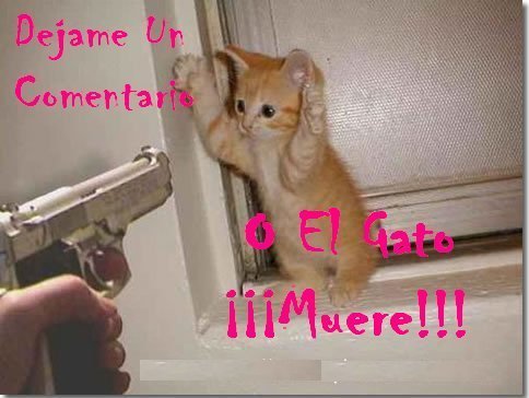 Humor vampirco Muere+el+gato