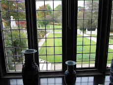 View through the window