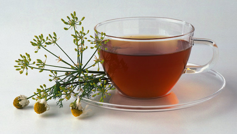 [chamomile+tea.jpg]