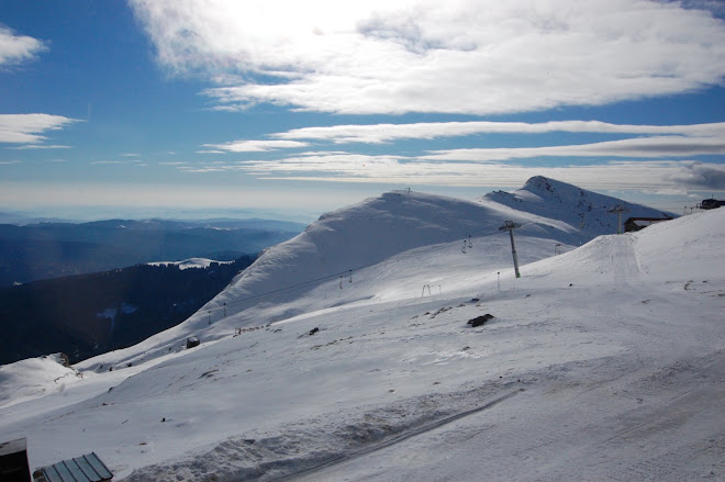 Multa zapada...la Cota 2000 (Sinaia)