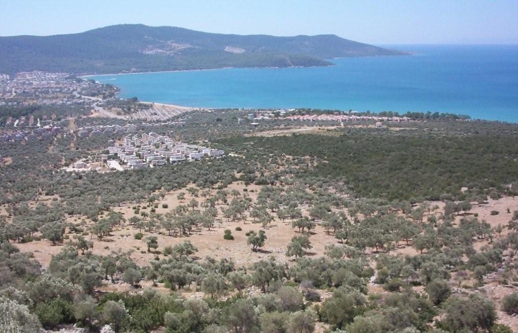 didim akbuk te satilik 2 ozel arsa 2 satilik 300 donum imarli arsa sapliada akbuk koyu ve acik deniz manzarali