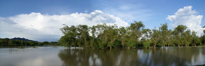 Desembocadura del río Bugalagrande al río Cauca