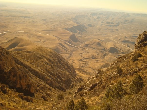 [n532481417_964255_6278.jpg]