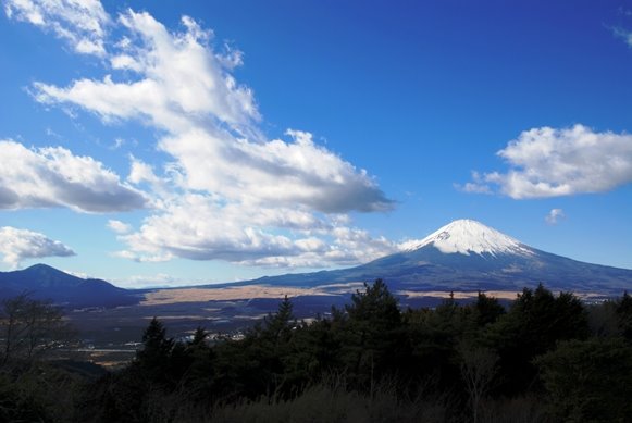 [DSC_0024.JPG]