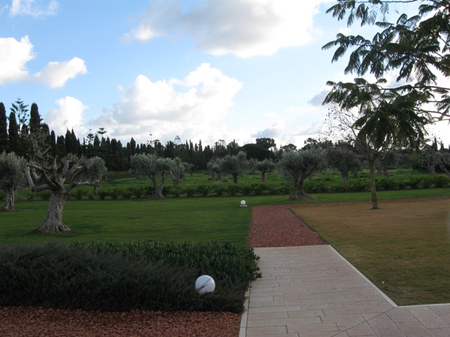 As árvores das Profecias