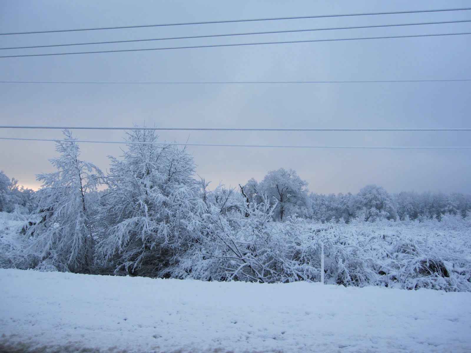 [IMG_1675.JPG]