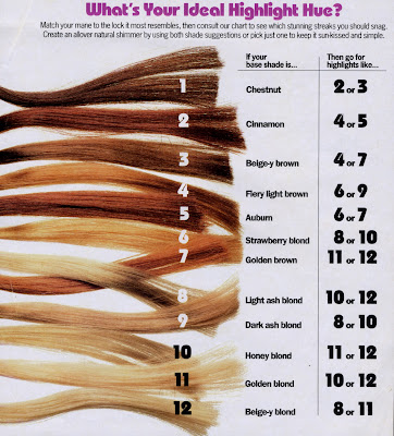 Hair Colour Correction Chart