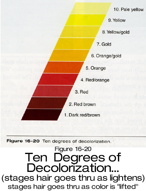 Hair Color Levels 1 10 Chart