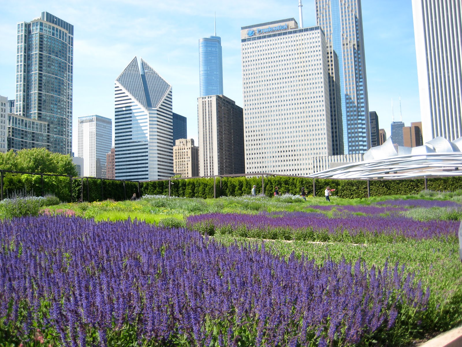 The Lurie Garden